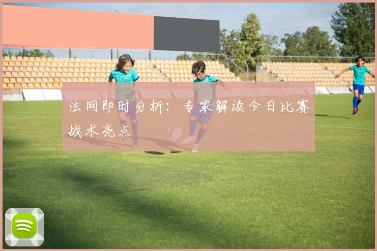 法网即时分析：专家解读今日比赛战术亮点