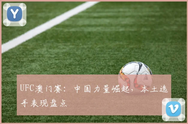 UFC澳门赛：中国力量崛起，本土选手表现盘点