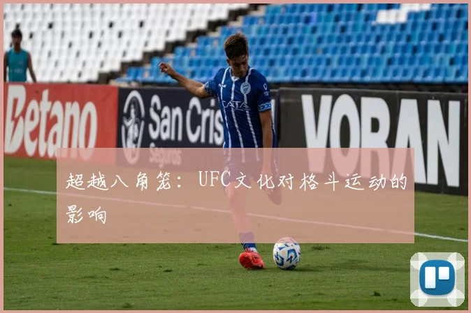 超越八角笼：UFC文化对格斗运动的影响