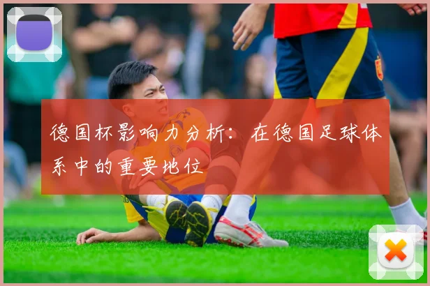 德国杯影响力分析：在德国足球体系中的重要地位