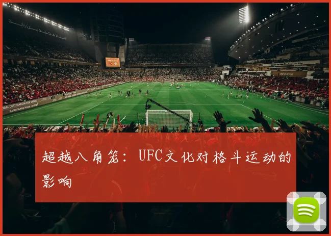 超越八角笼：UFC文化对格斗运动的影响
